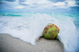 Se me perdió el coco en el mar